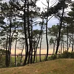 Le Bassin A Vos Pieds Avec T2 Elegant Entre Et Hyper Centre Arcachon