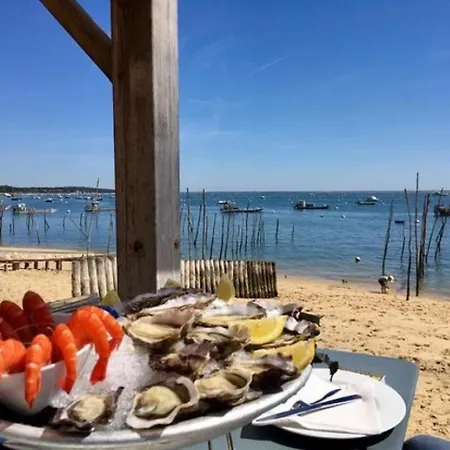 Apartman Le Bassin A Vos Pieds Avec T2 Elegant Entre Et Hyper Centre Arcachon