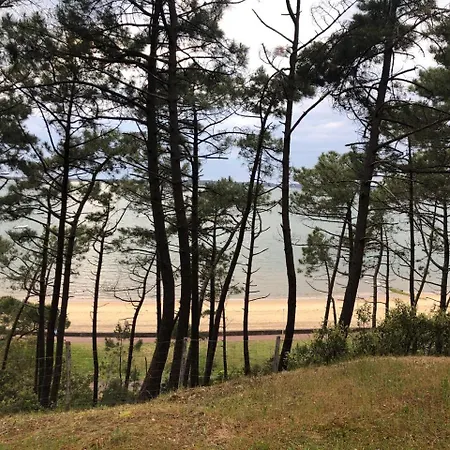 Elegant T2 Pres De La Et En Hyper Centre Arcachon