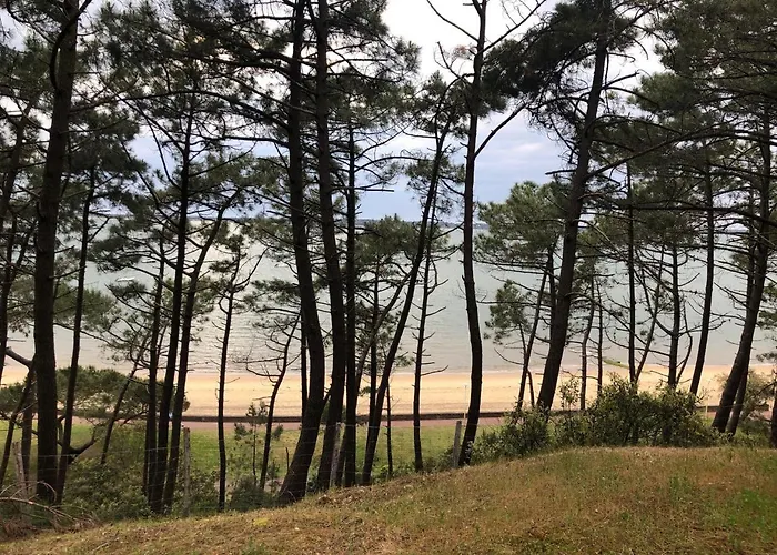 Le Bassin A Vos Pieds Avec T2 Elegant Entre Et Hyper Centre Αρασόν